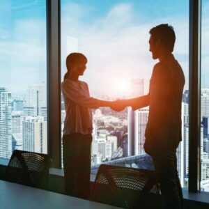 Lámina de protección solar SOL 102